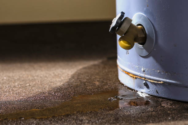 Best Basement water damage restoration  in Spindale, NC