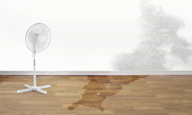 Best Local water damage restoration  in Spindale, NC