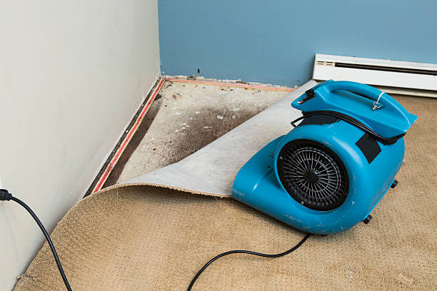 Best Water damage restoration near me  in Spindale, NC